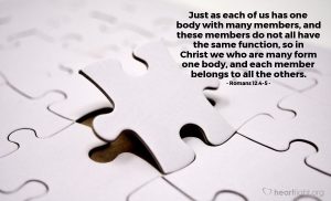 Today’s Verse – Romans 12:4-5